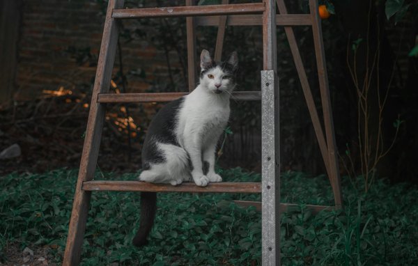 What innovative technologies are transforming UK healthcare?