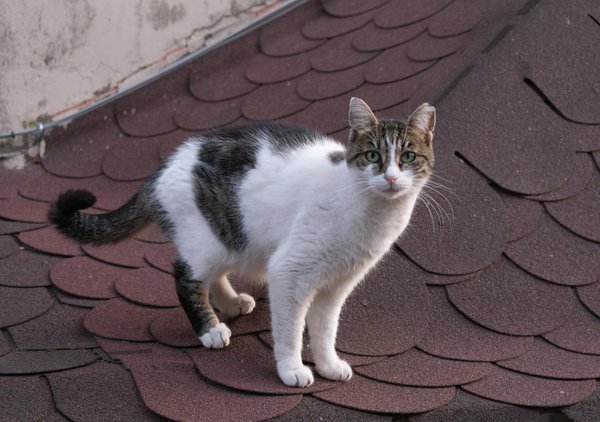 How Can You Update Your UK Home on a Budget?